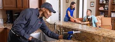 Trusted River Edge, NJ Pest Control Experts